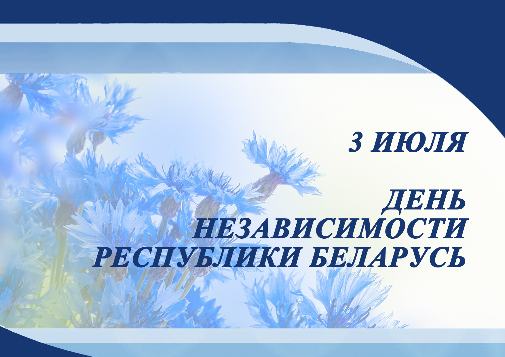 для сайта.jpg