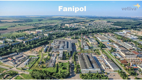 Fanipol - the territory of new productions