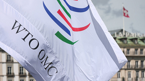 Accession to the WTO