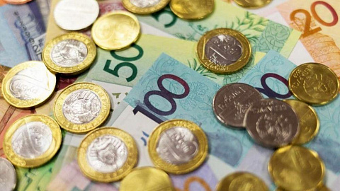 Банк развития в 2019 году выделил Br1,6 млрд на инвестпроекты